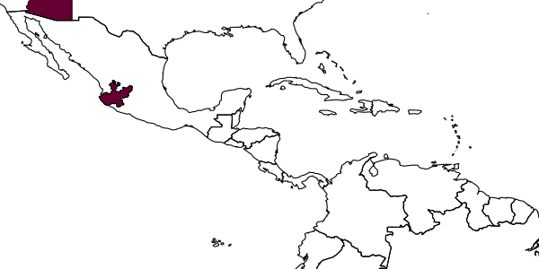 map of Xenopanurgus readioi     Michener, 1952